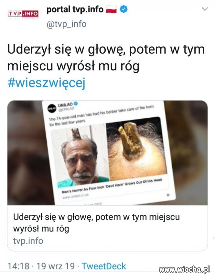 Jednorożec