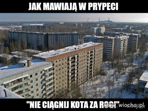 Przysłowie 