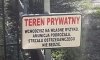 Coś dla PiS 