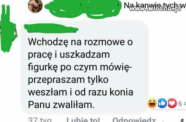 Rozmowa o  pracę