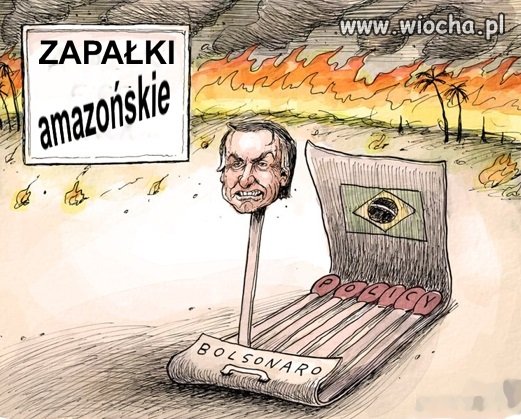 Pożary dżungli