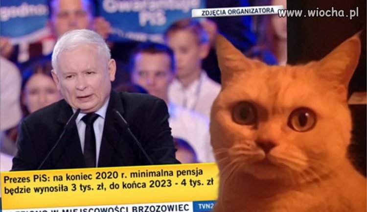 Andrzej - to j*bnie!