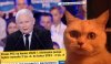 Andrzej - to j*bnie!