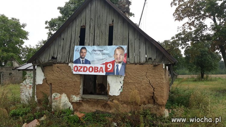 Wszystko na jedyny zdjęciu 