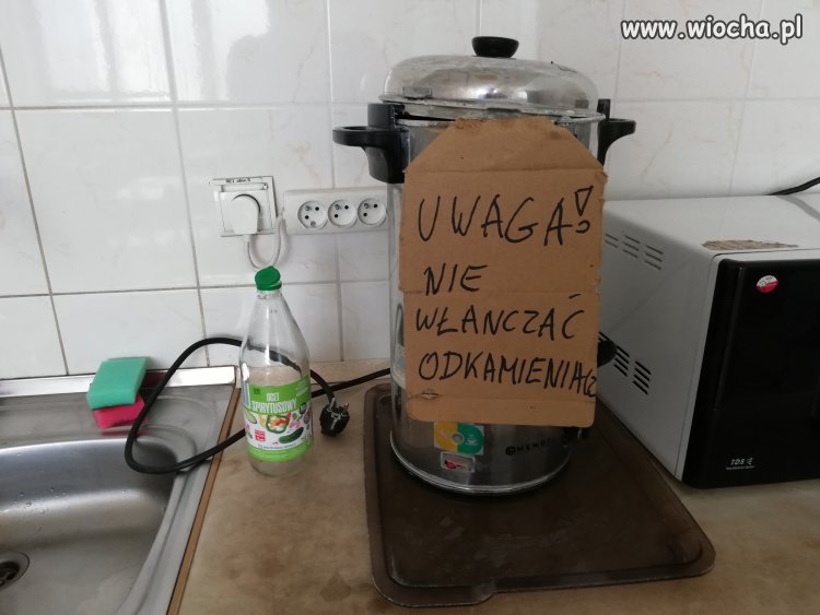 Polska jenzyka trudna być
