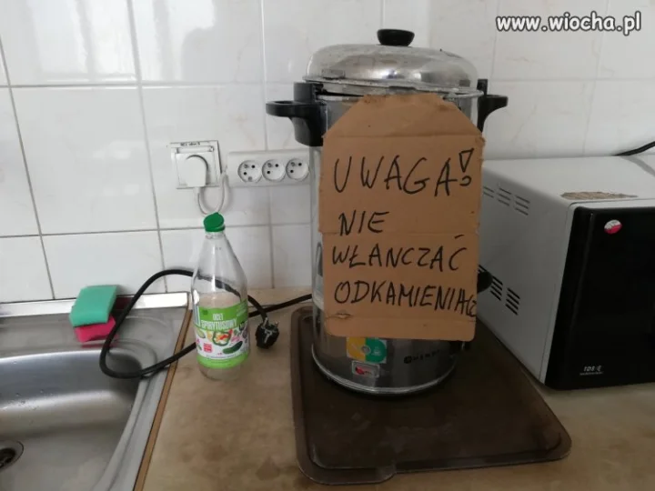 Polska jenzyka trudna być