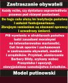 Model putinowski