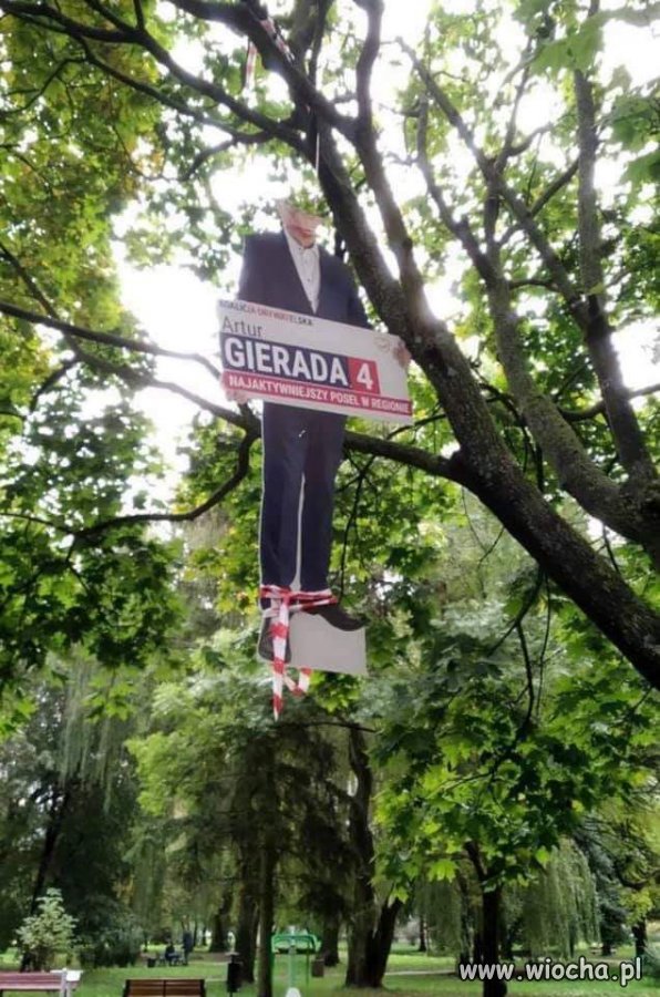 Ale pisiory się boją