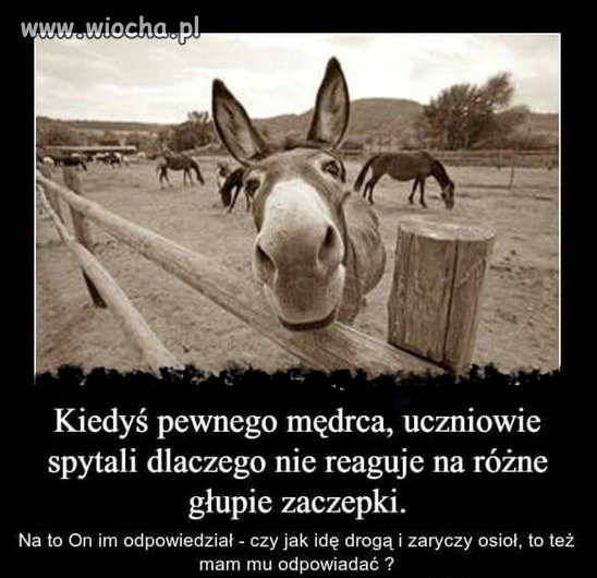 Tyle w temacie