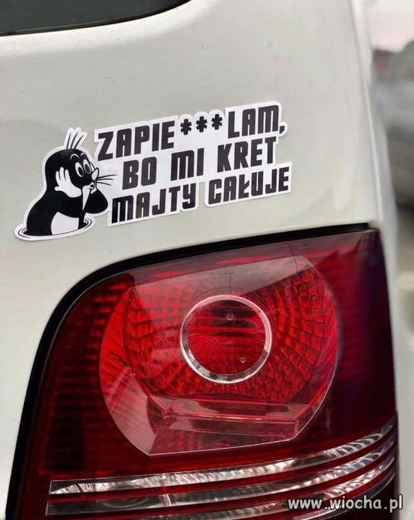 Zawsze jakieś wytłumaczenie