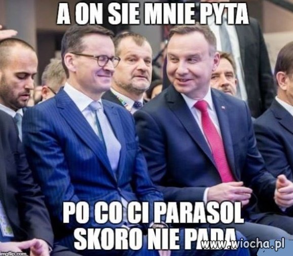 Mistrz