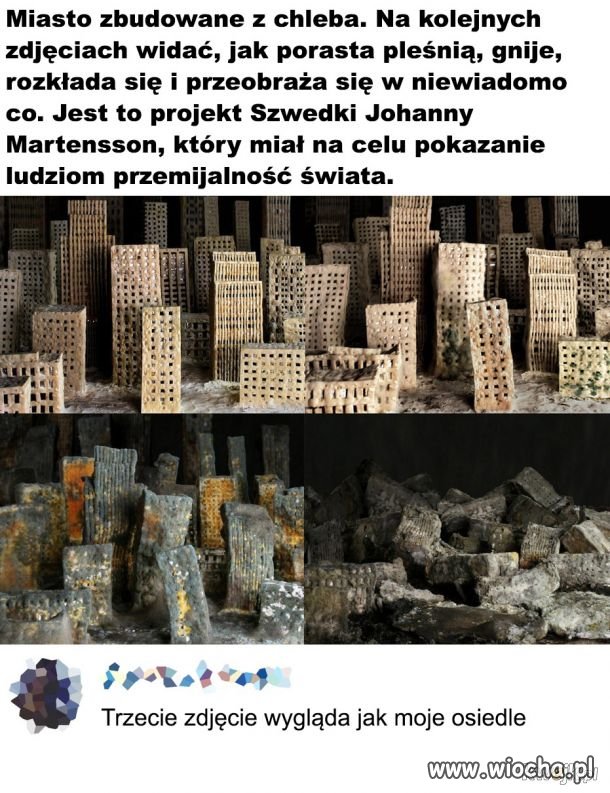 Chlebowe miasto
