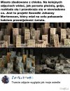 Chlebowe miasto