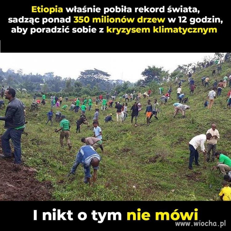 Takie inicjatywy warto nagłaśniać 