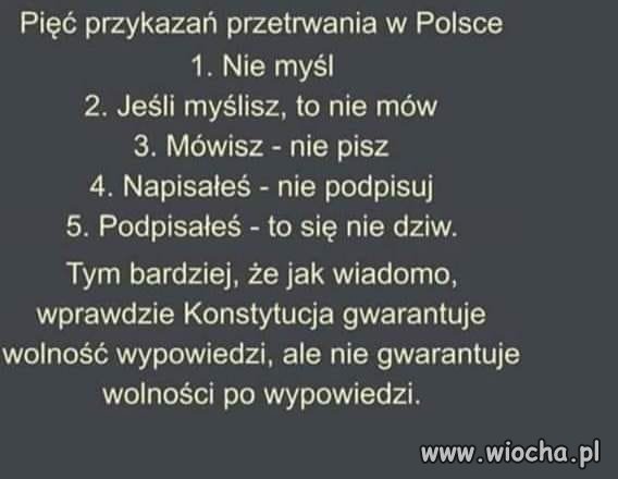 Tyle w temacie