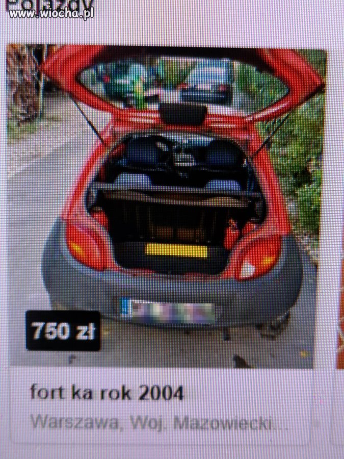 Fort