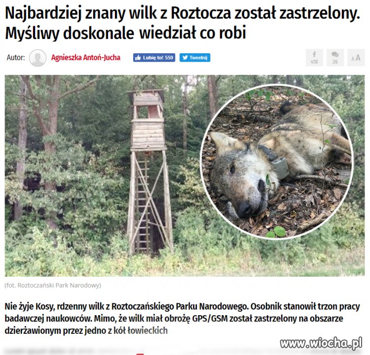 Bez komentarza