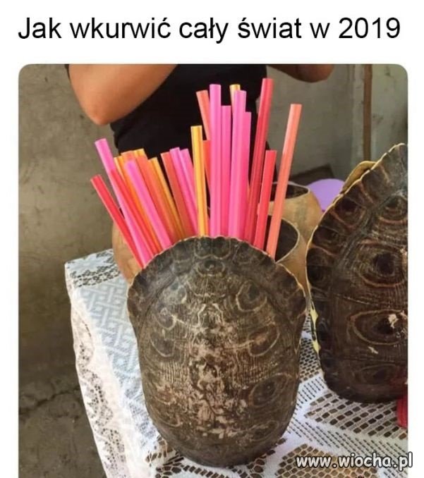 Cała prawda