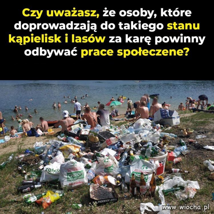 Jak najbardziej tak.