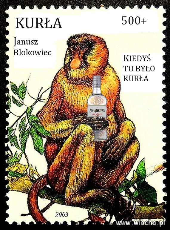 Janusz ty jesteś na znaczku