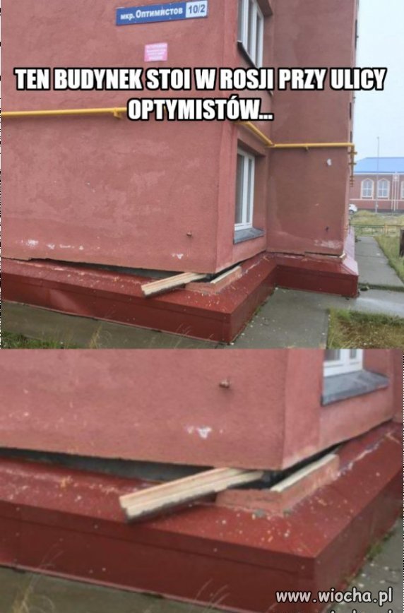 Optymista...