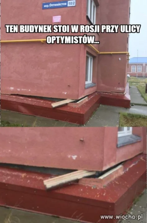 Optymista...