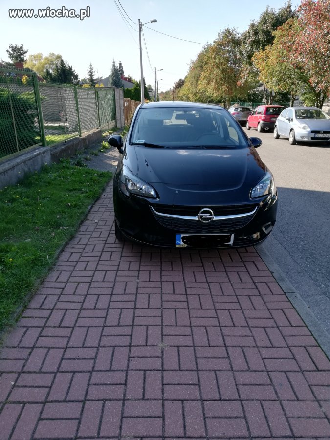 "miszcz parkowania" 
