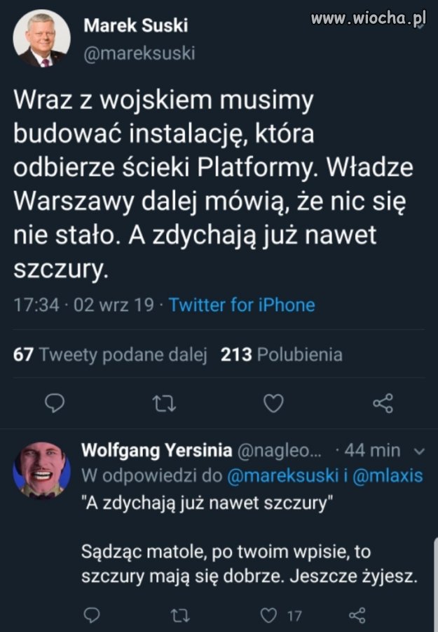 Suski filozuje