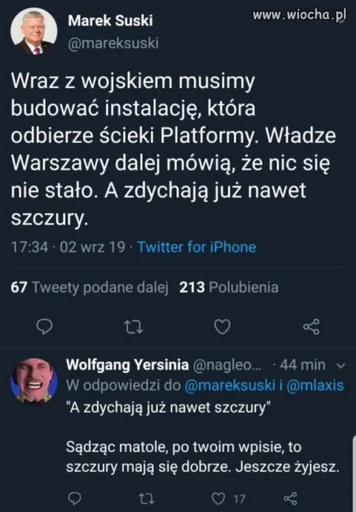 Suski filozuje