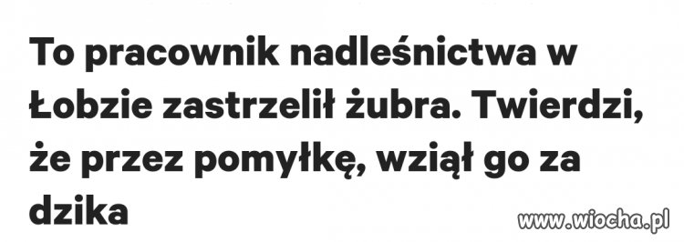 Już lepiej jak te jełopy strzelają do siebie.