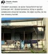 Kamienica