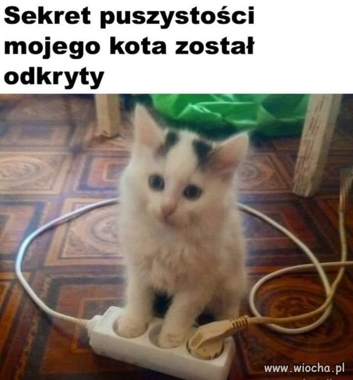 Proszę do tego nie mieszać PiSu