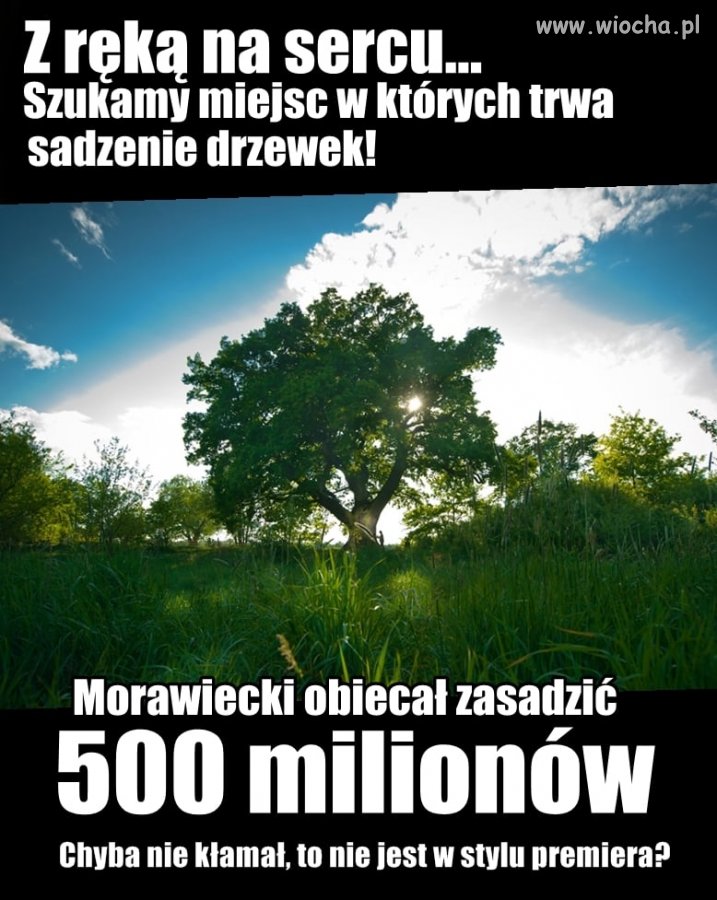 Może chociaż raz