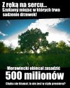 Może chociaż raz