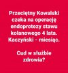 Dobra zmiana. Macie 500+ i morda w kubeł.