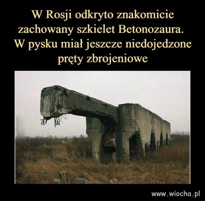Paleontologia made in Russia