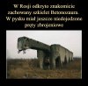 Paleontologia made in Russia