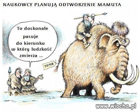 Gdzie zmierzamy