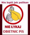 Małe ostrzeżenie 