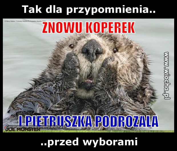 Tak dla przypomnienia..