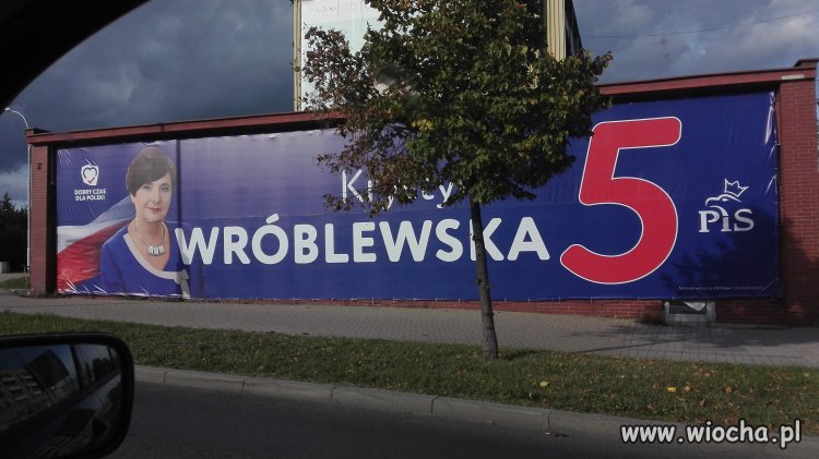 Plandekożercy...