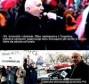Czym mały Yoyo za młodu nasiąknie