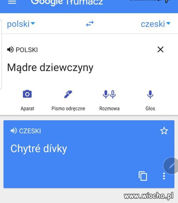 Tłumacz google