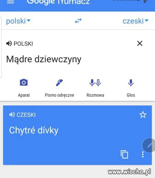 Tłumacz google