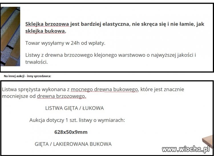 Buk czy brzoza? Znowu ten Smoleńsk...