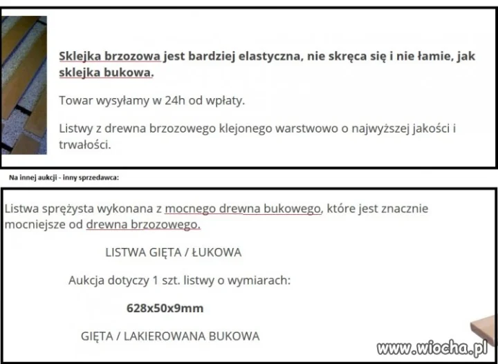 Buk czy brzoza? Znowu ten Smoleńsk...