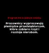 Program PIS w jednym zdaniu.