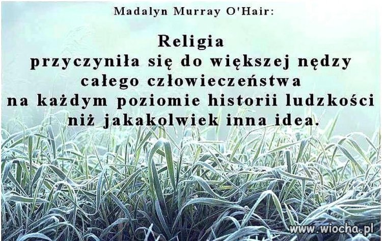 Dokładnie tak.