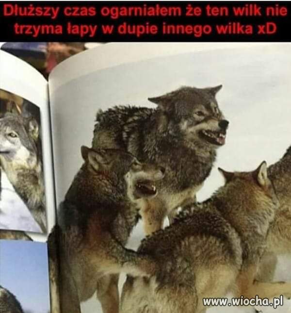 Bez polityki 