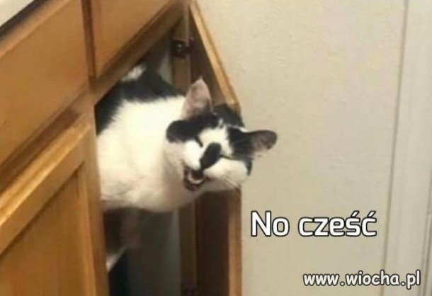 To jest dopiero